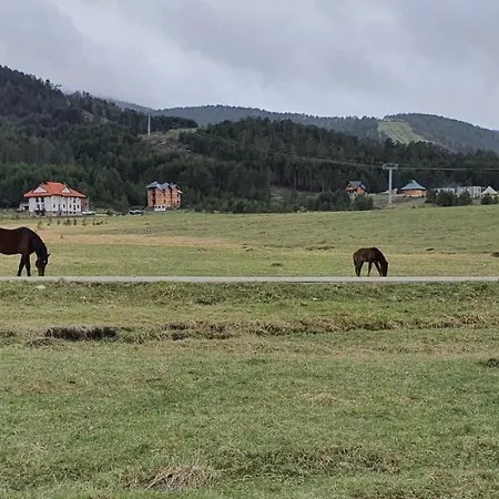 Vnb Tornik-zlatibor *
