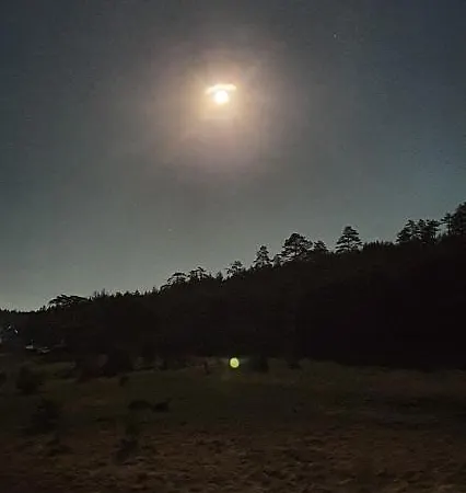 Daire Vnb Tornik-zlatibor