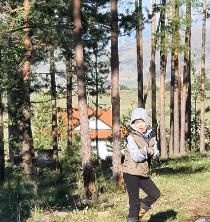 Daire Vnb Tornik-zlatibor *
