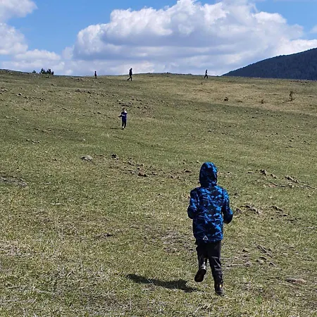 Vnb Tornik-zlatibor Daire *