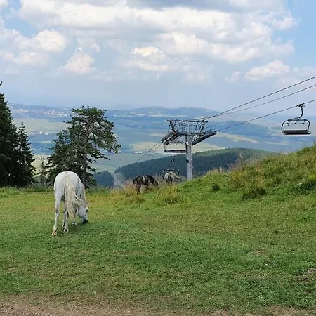 Vnb Tornik-zlatibor * Zlatibor