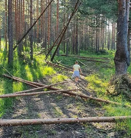 Daire Vnb Tornik-zlatibor Zlatibor