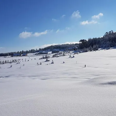 Vnb Tornik-zlatibor *