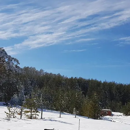 Vnb Tornik-zlatibor * Zlatibor