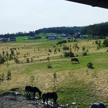 Daire Vnb Tornik-zlatibor