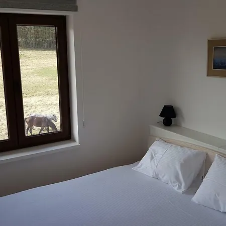 Vnb Tornik-zlatibor Zlatibor