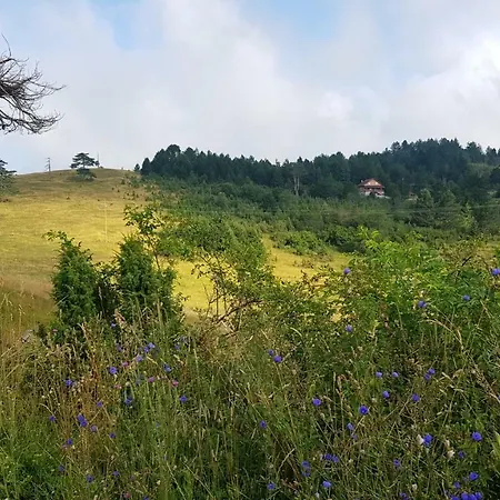 Vnb Tornik-zlatibor Apartment