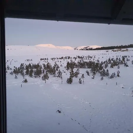 Vnb Tornik-zlatibor Daire